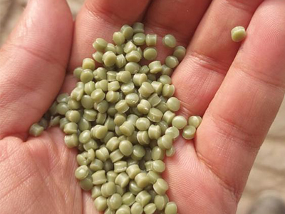 Manufacturer of pp and cp granules and deals in all  type of gol dana pbpolymer